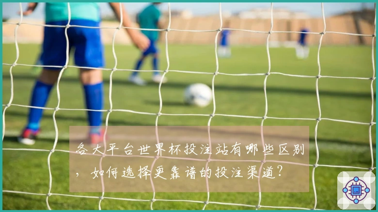 各大平台世界杯投注站有哪些区别，如何选择更靠谱的投注渠道？