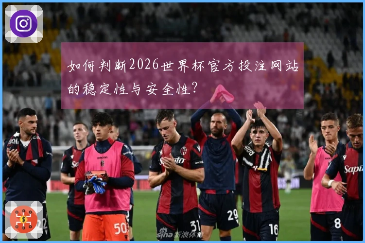 如何判断2026世界杯官方投注网站的稳定性与安全性？